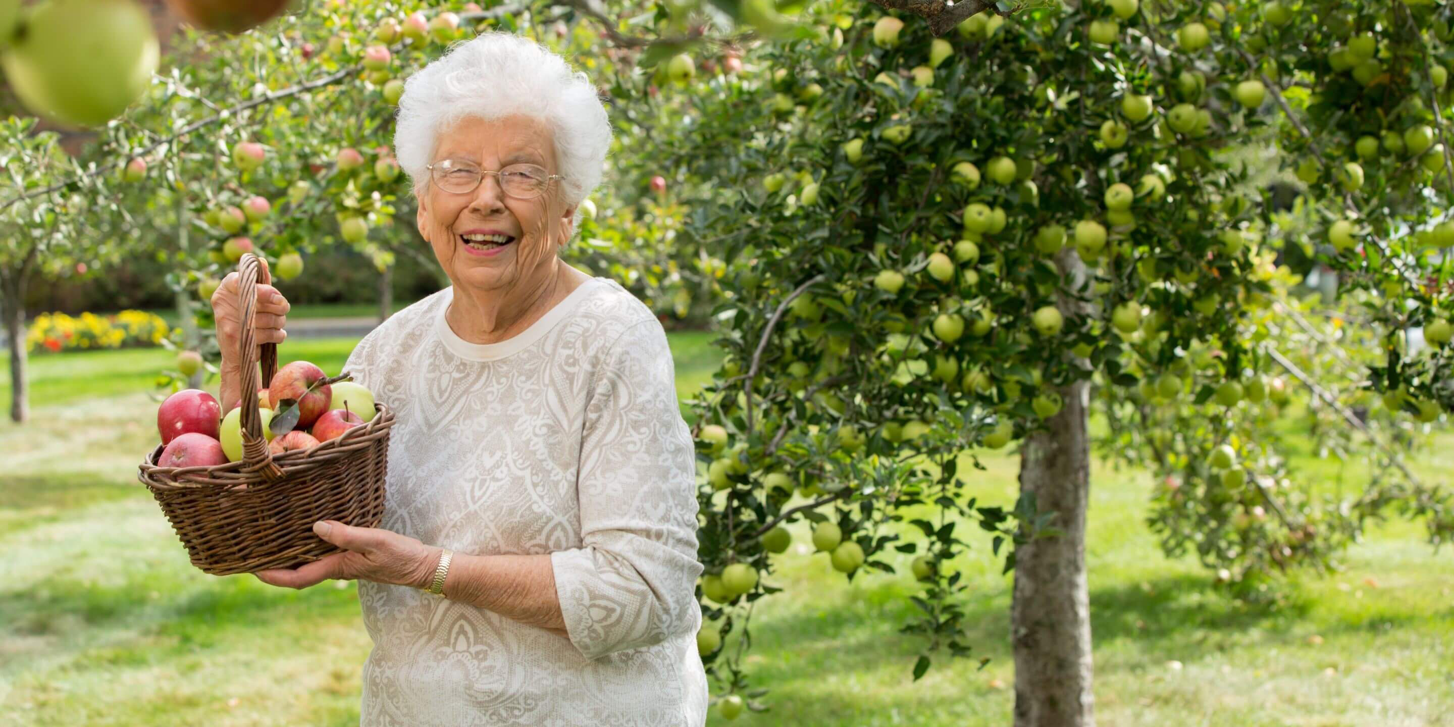 Older woman holding a basket of apples